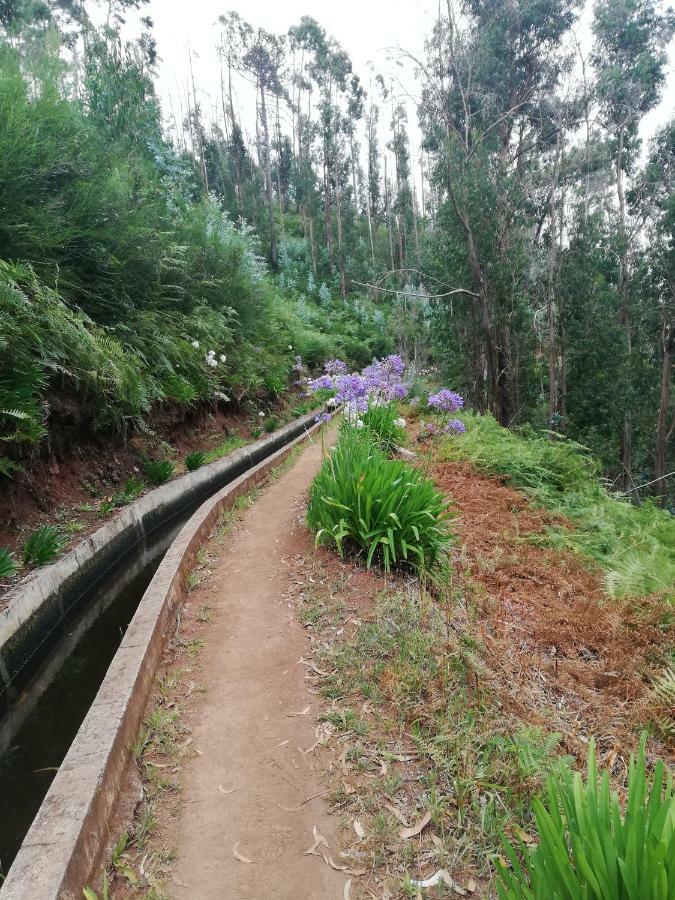 Willa Casa Bela Vista Ribeira Brava Zewnętrze zdjęcie